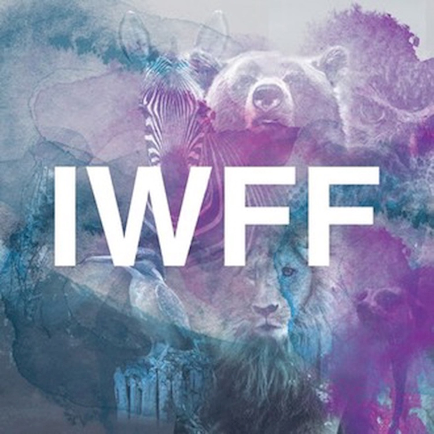 International Wildlife Film Festival