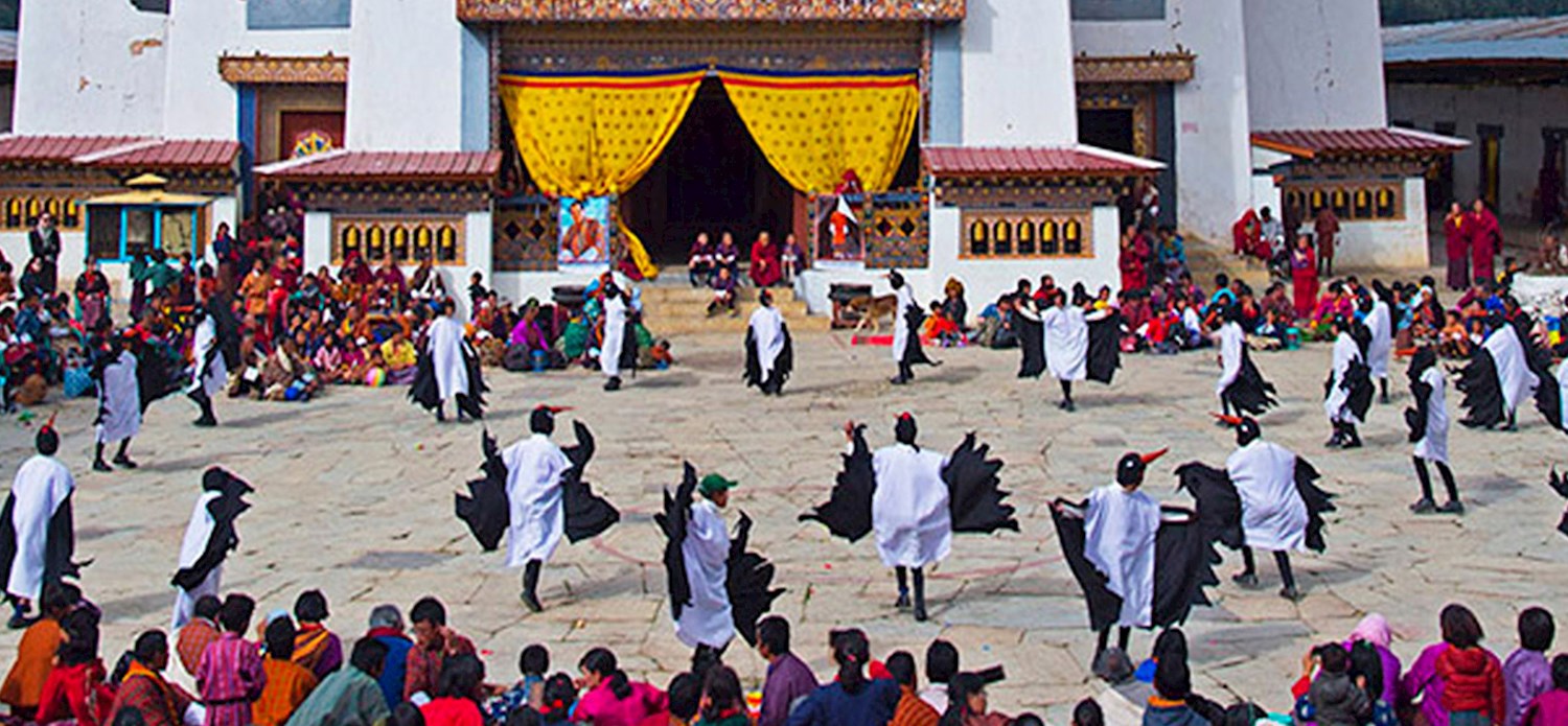 Black Necked Crane Festival, Bhutan