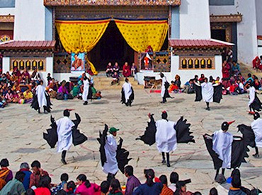 Black Necked Crane Festival, Bhutan