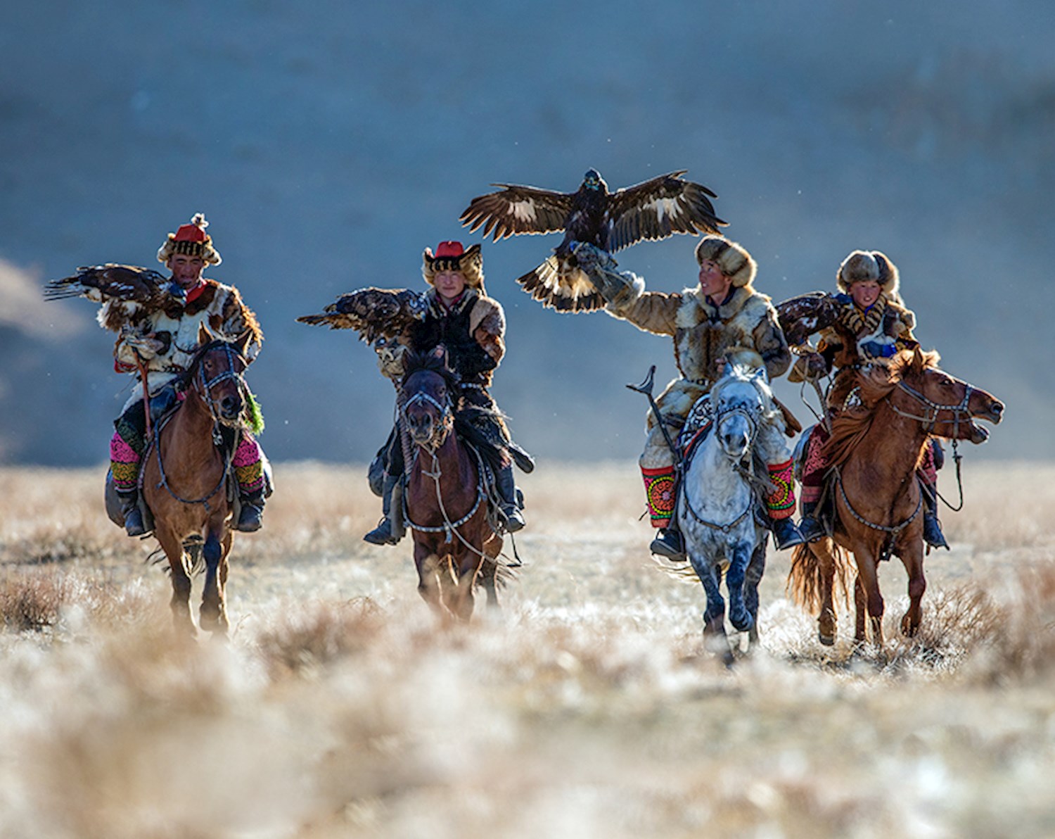 Golden Eagle Festival, Mongolia