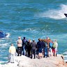 Hermanus Whale Watching Festival, South Africa