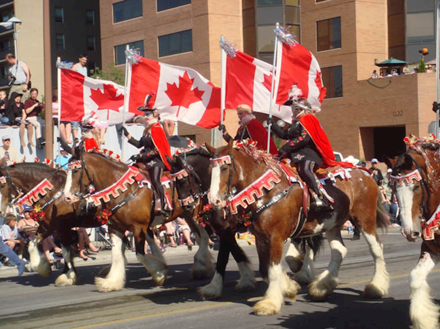 8Calgary Stampede, Canada