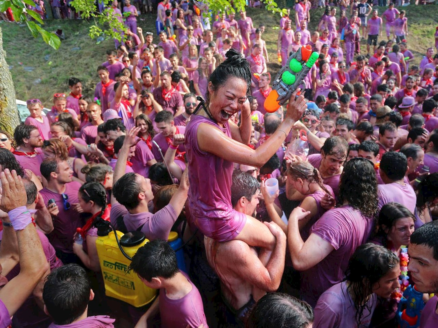 Haro Wine Festival, Spain