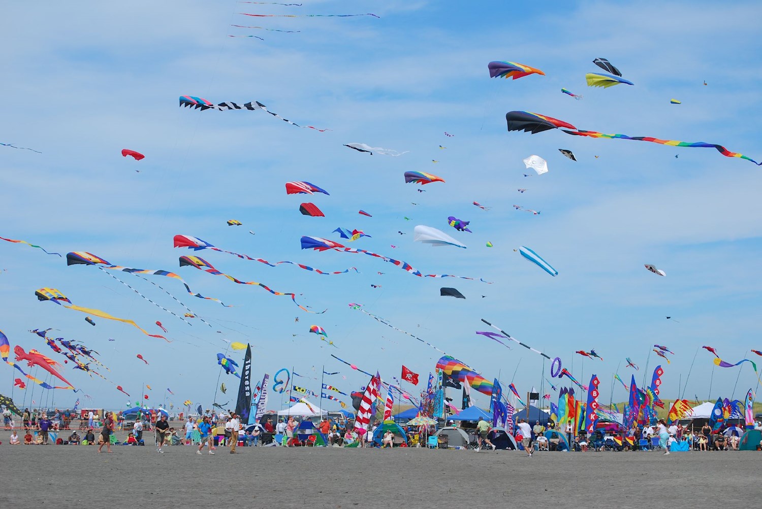 International Kite Festival India