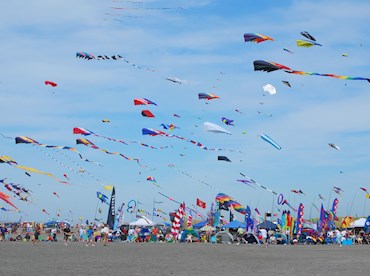 International Kite Festival India