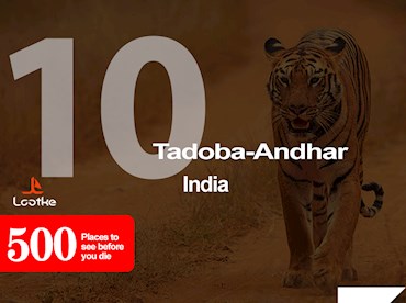 Tadoba Andhari National Park