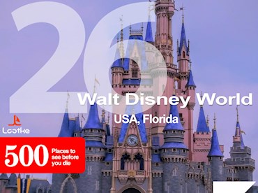 Feel the happy magic at Walt Disney World