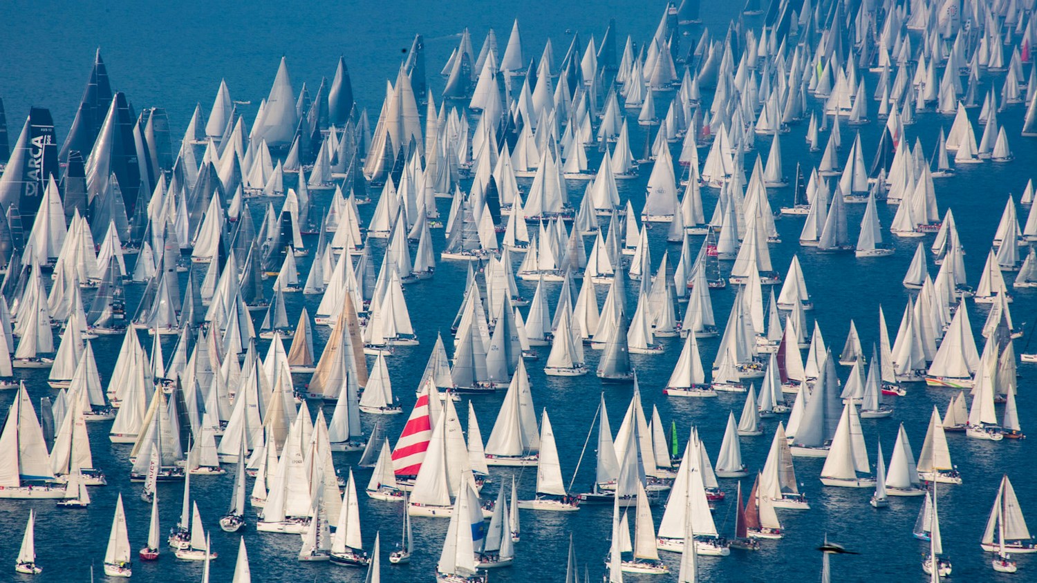 Barcolana Regatta Italy