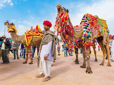 Pushkar Camel Fair, Rajasthan, India