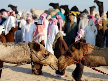 al dhafra festival abu dhabi