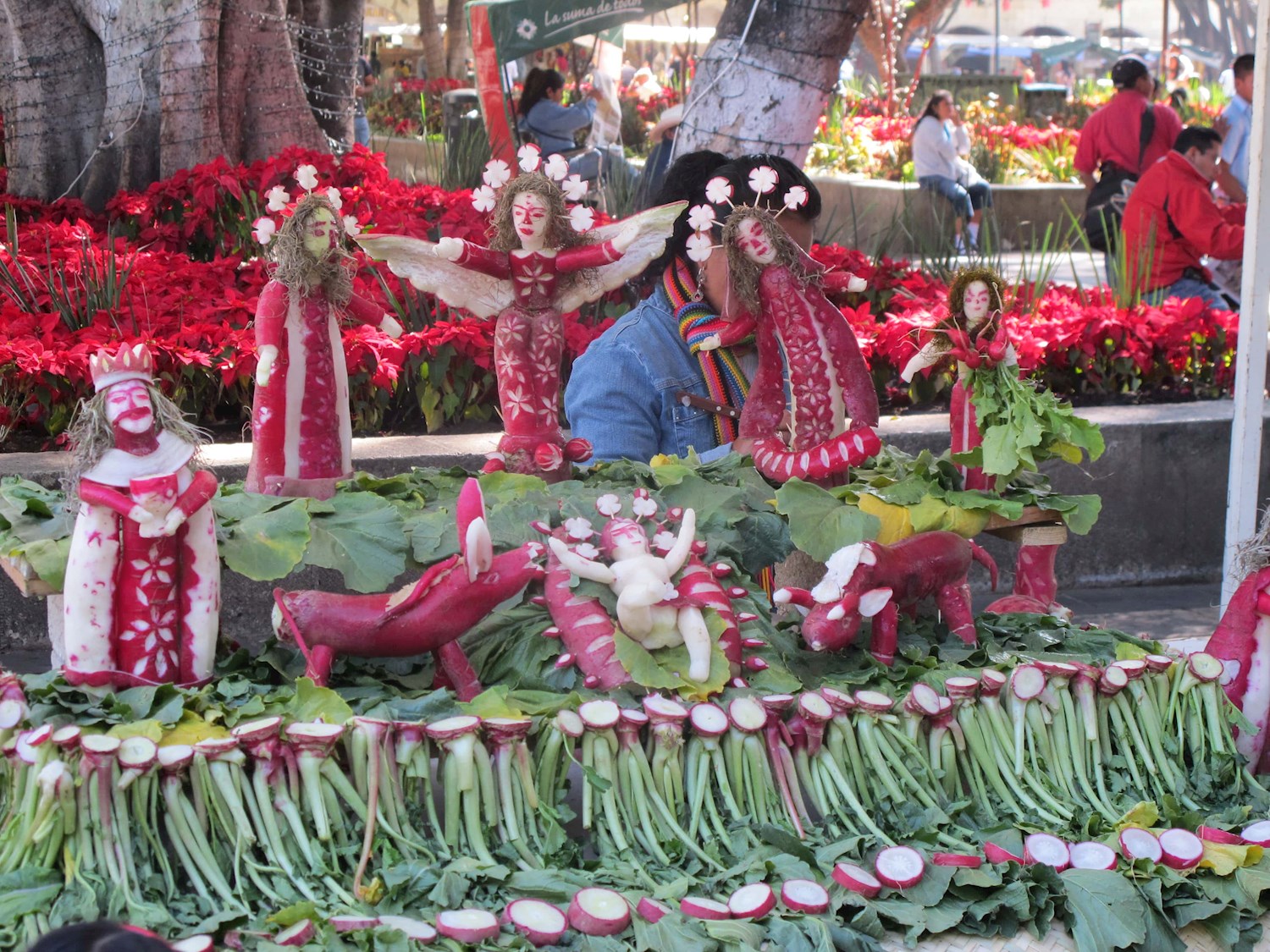 Night of the Radishes Mexico