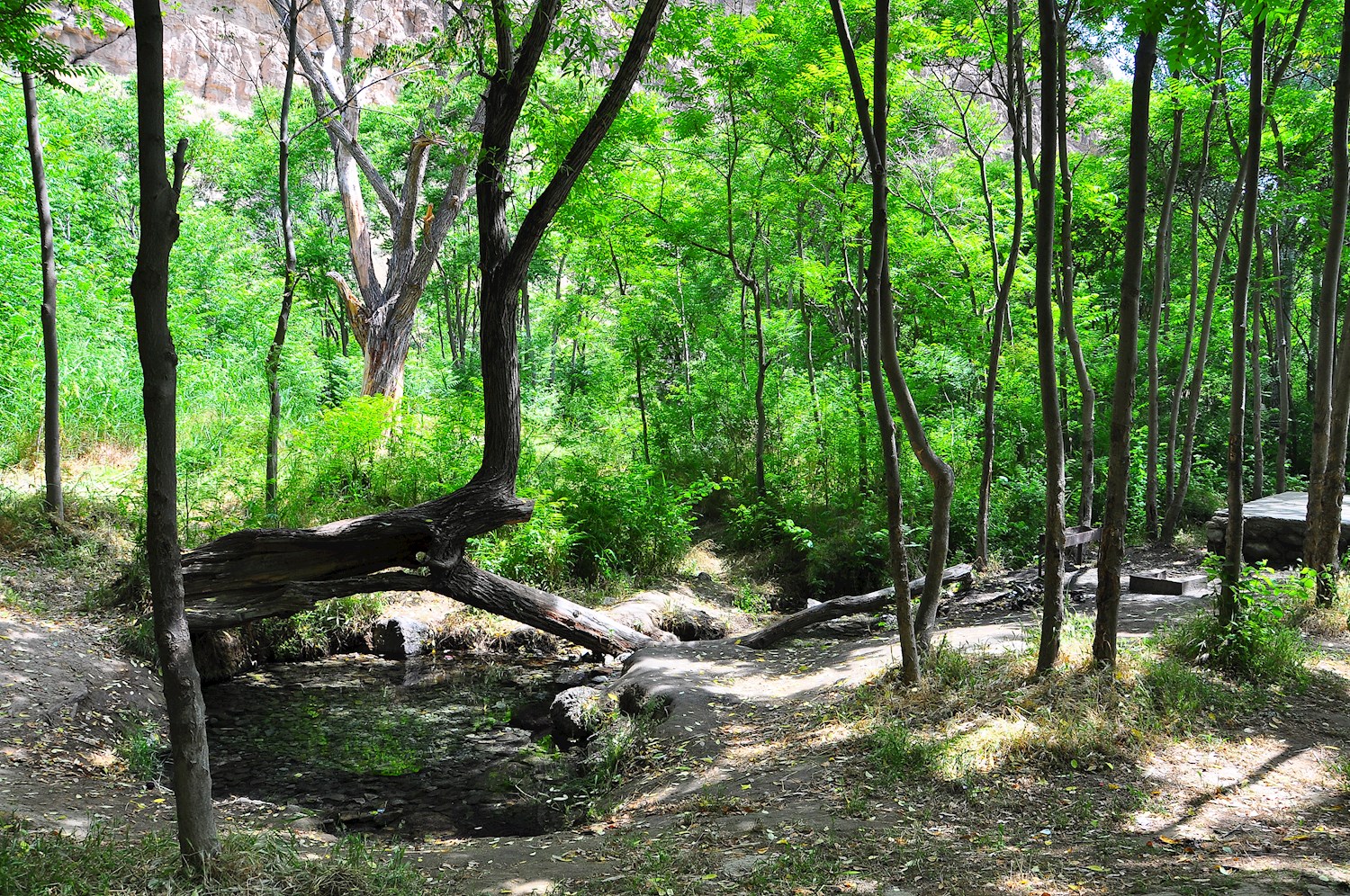 The Tandoureh  National Park