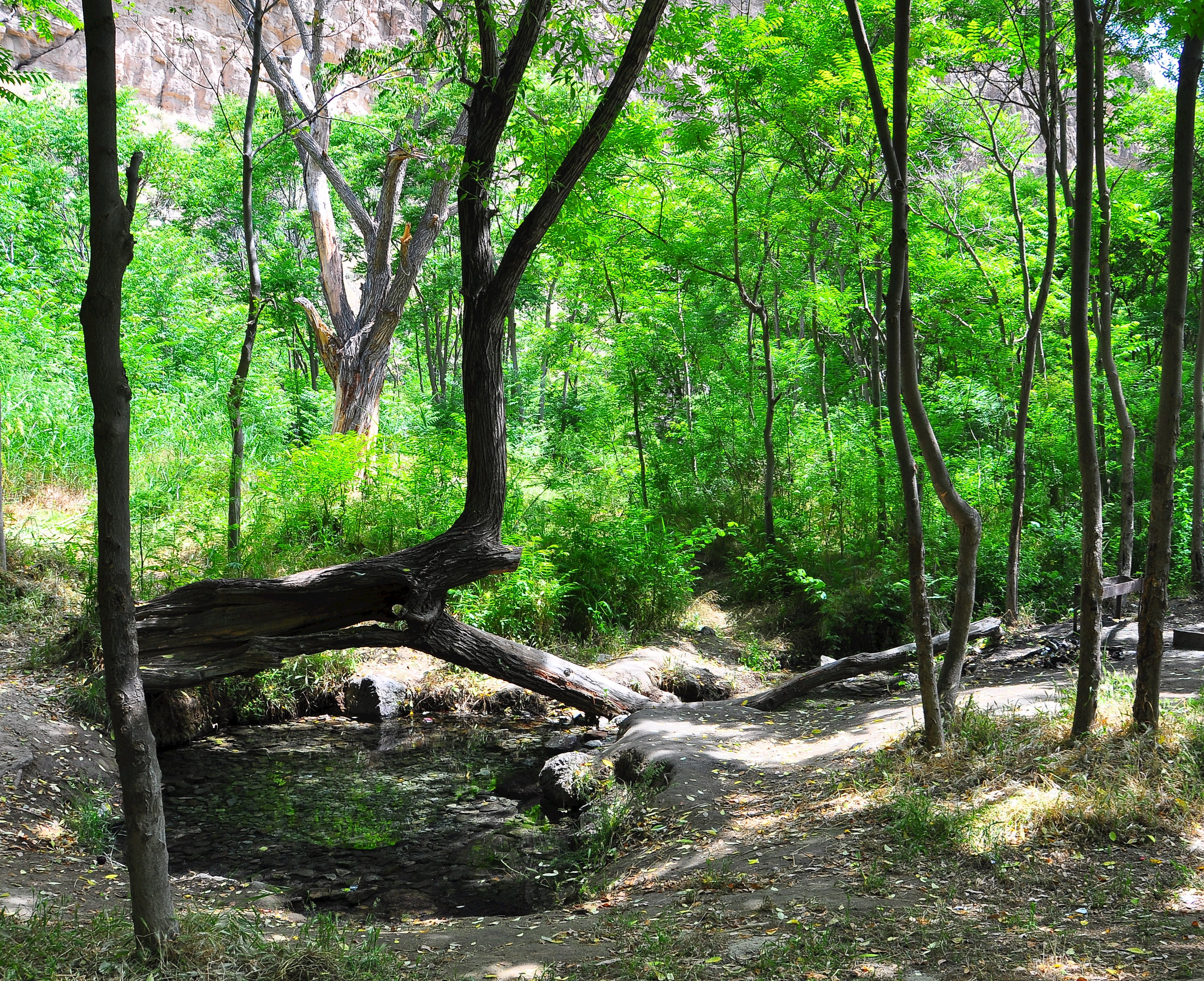 The Tandoureh  National Park