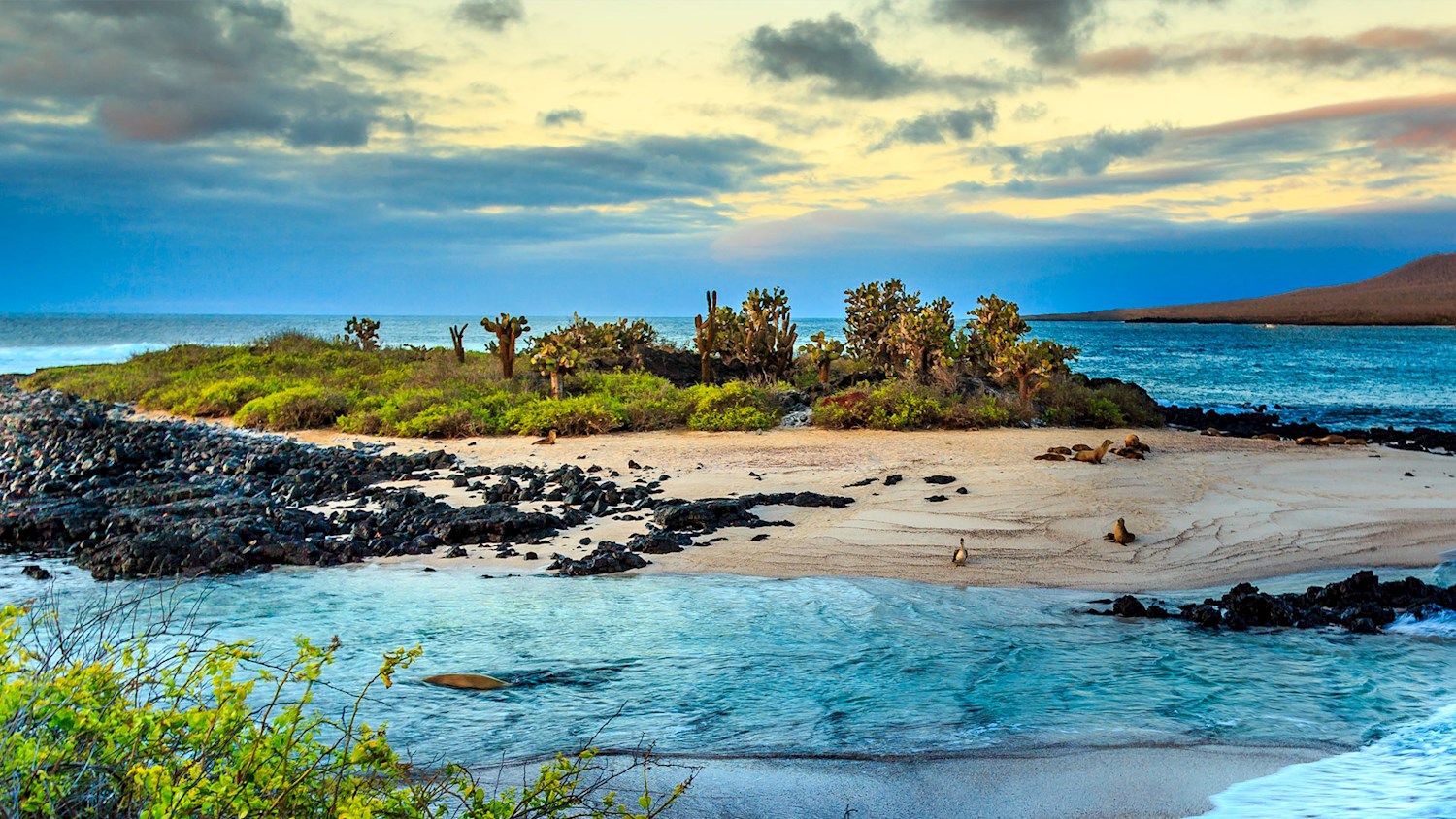 See the islands that changed the course of science the Galápagos