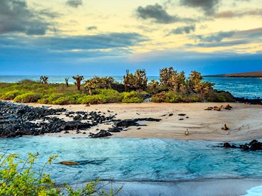 See the islands that changed the course of science the Galápagos