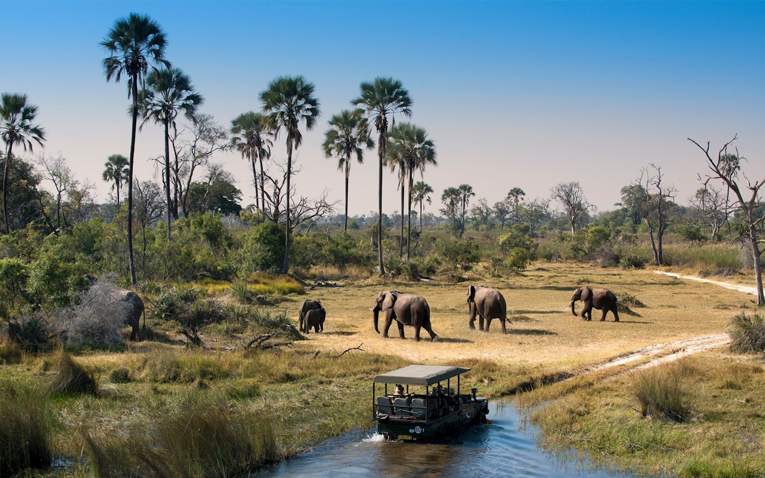 Experience life in the slow lane on the Okavango Delta