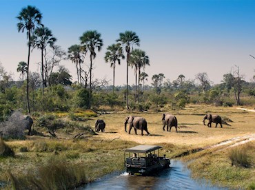 Experience life in the slow lane on the Okavango Delta