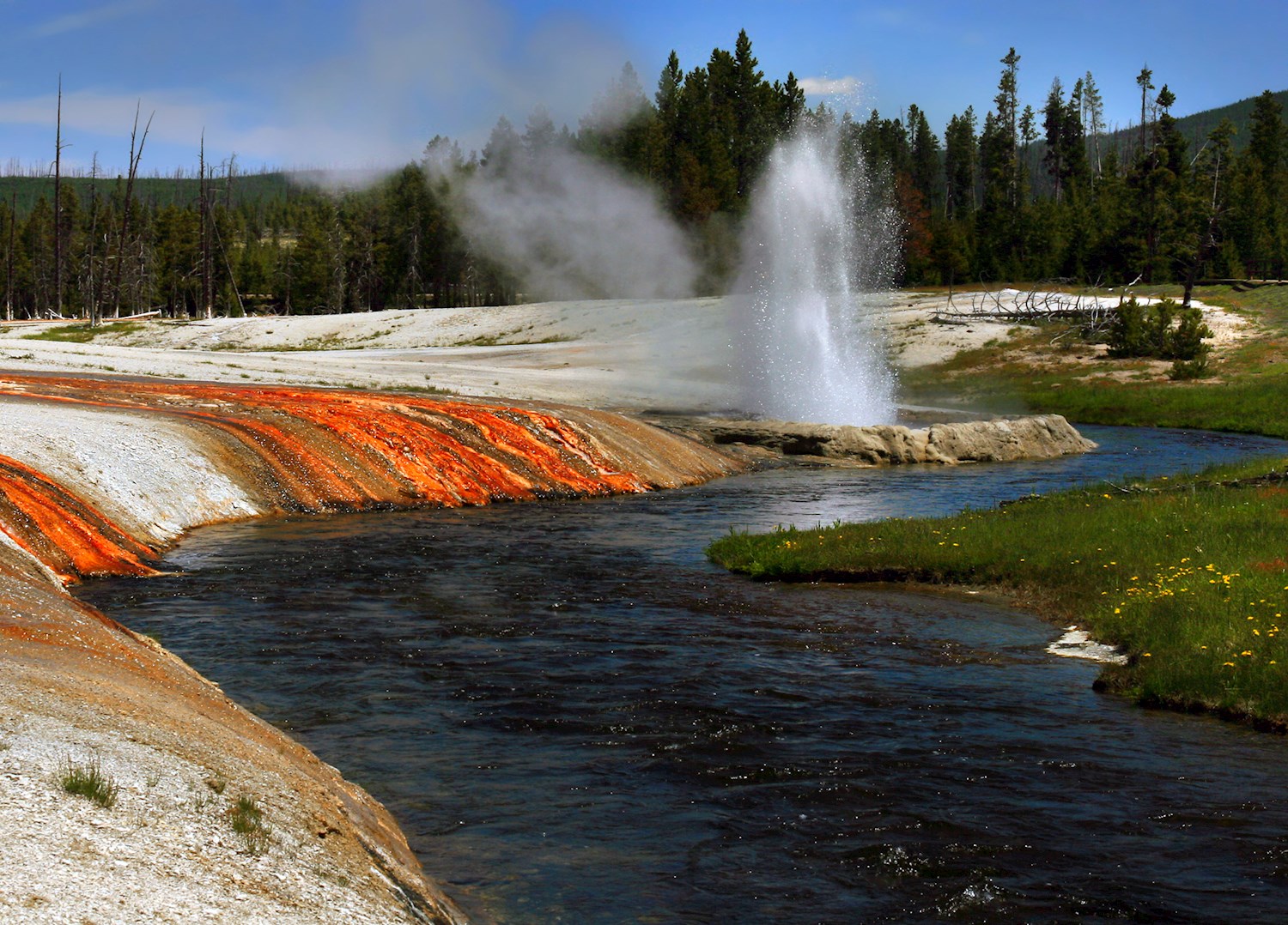 Sniff out geysers and grizzlies at Yellowstone National Park