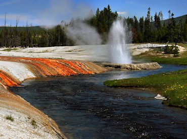 Sniff out geysers and grizzlies at Yellowstone National Park