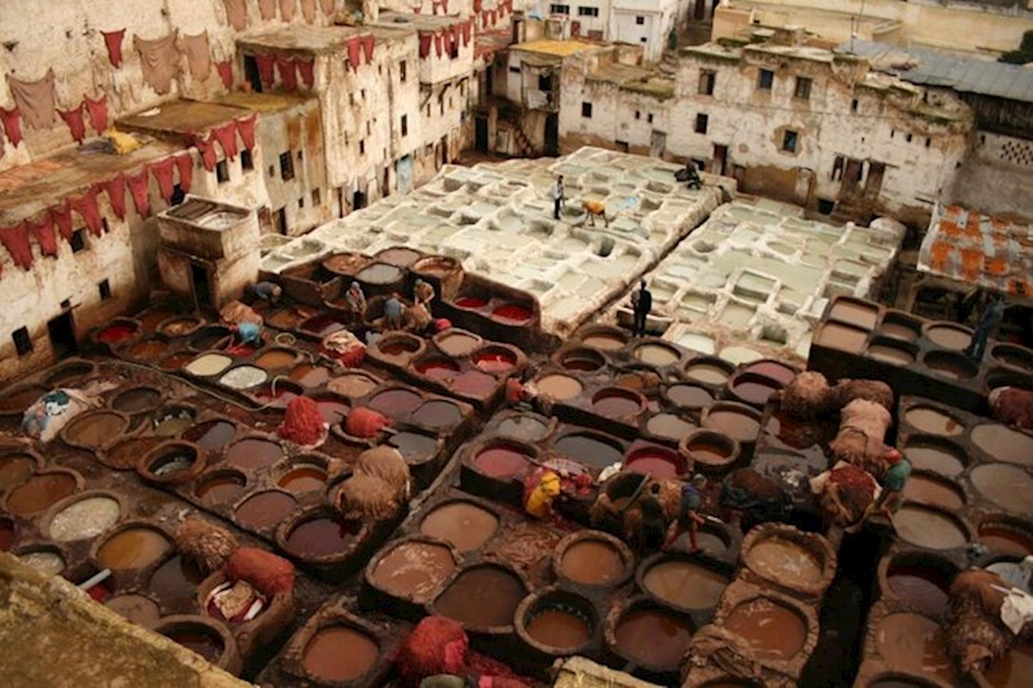 Time travel through the perpetual pandemonium of Fez medina