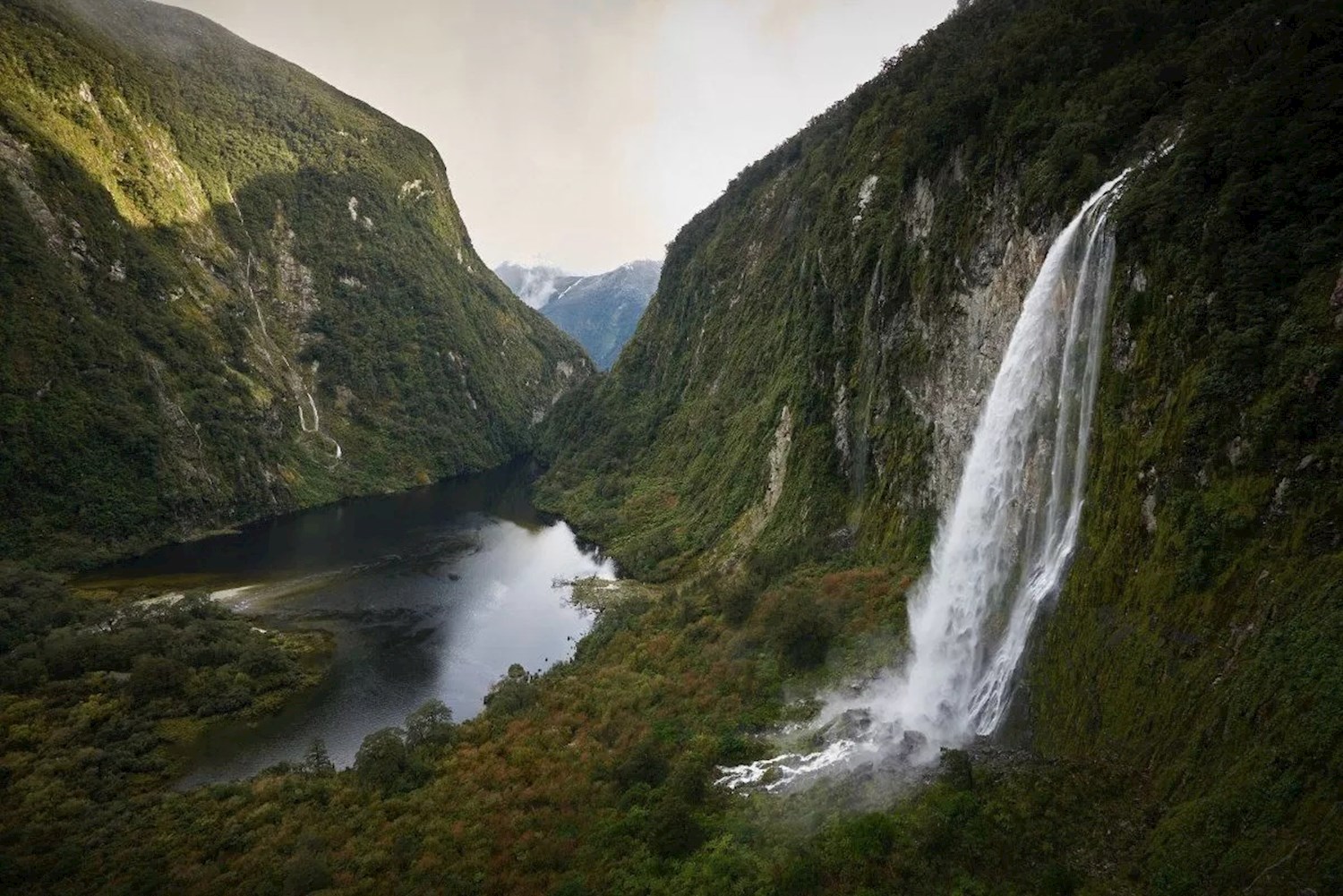 Pick your way through primeval land in Fiordland National Park