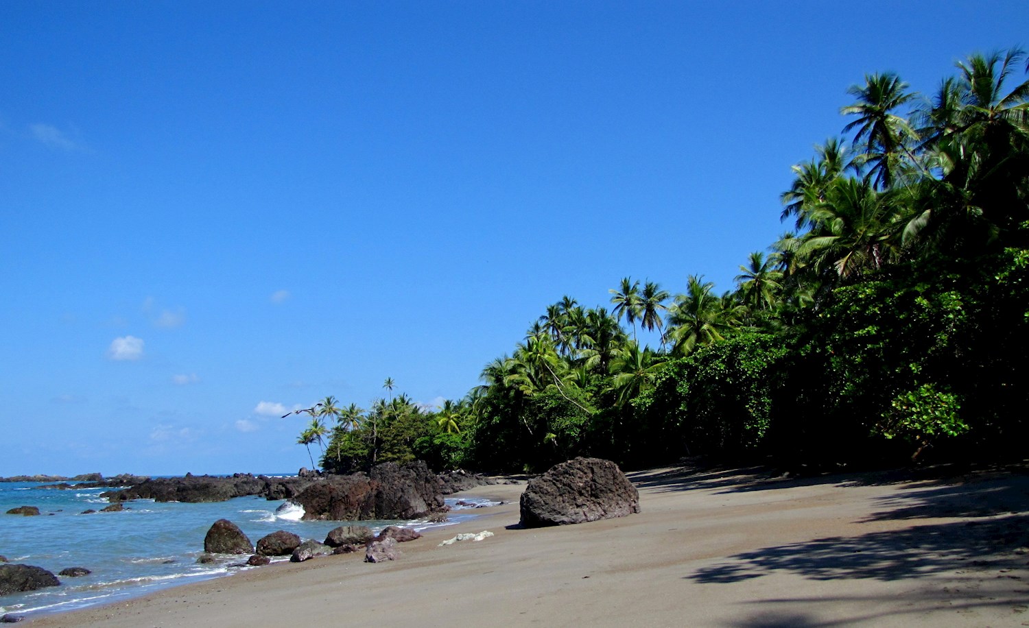 Go ape in Parque Nacional Corcovado