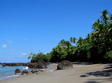 Go ape in Parque Nacional Corcovado