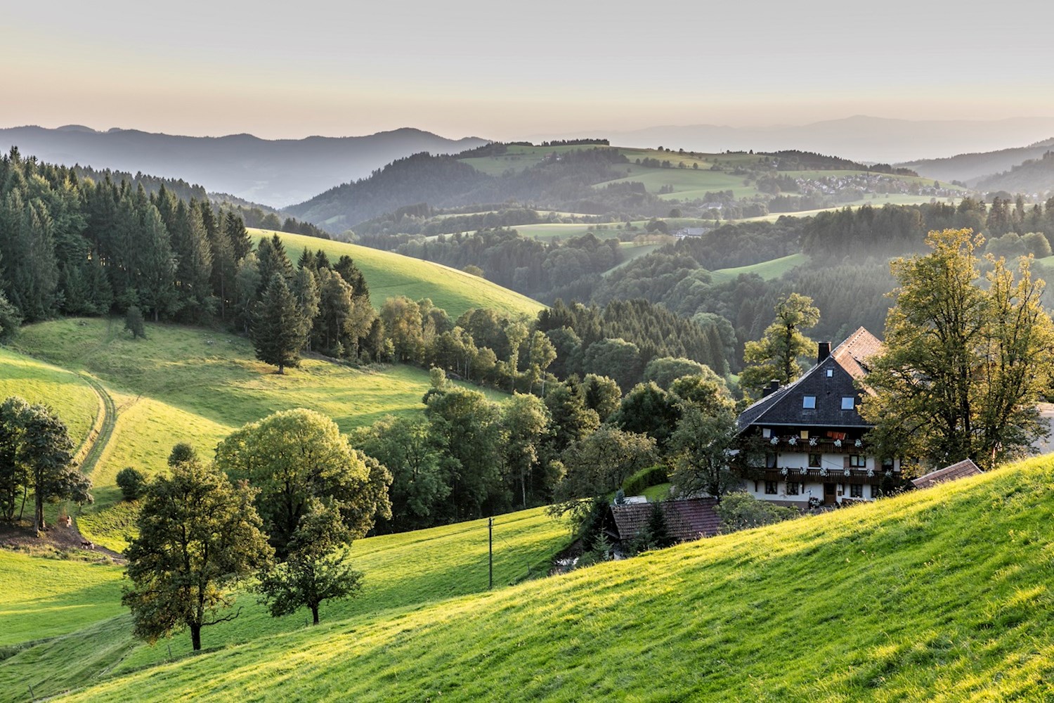 Tread softly through the Black Forest's sylvan wonderland