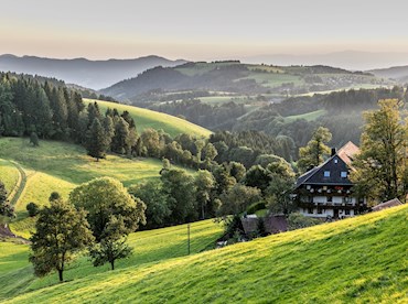 Tread softly through the Black Forest's sylvan wonderland