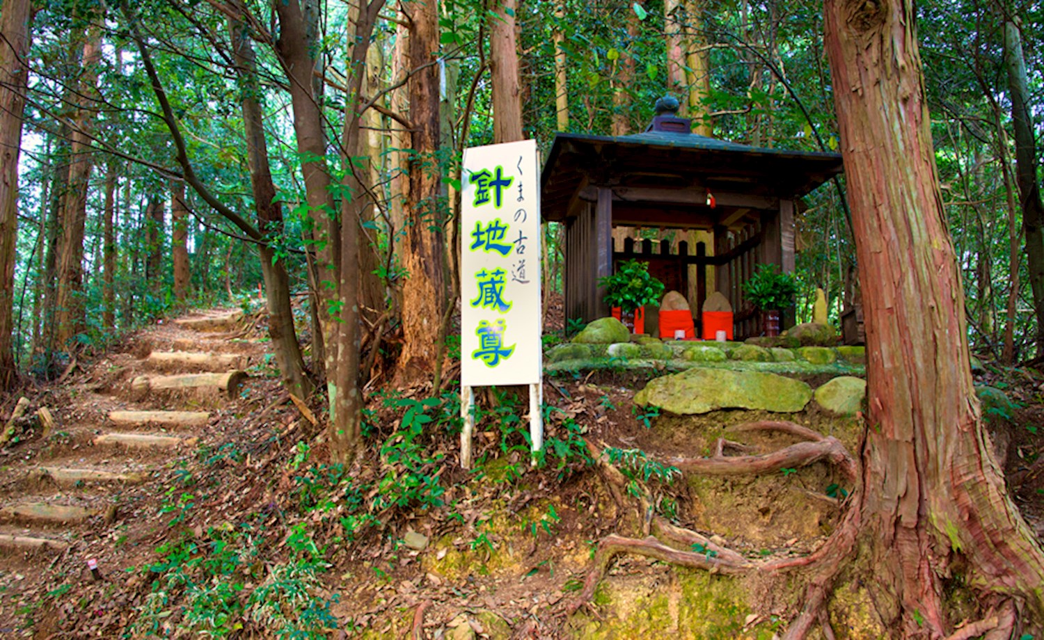 Track the paths of gods on the Kumano Kodo