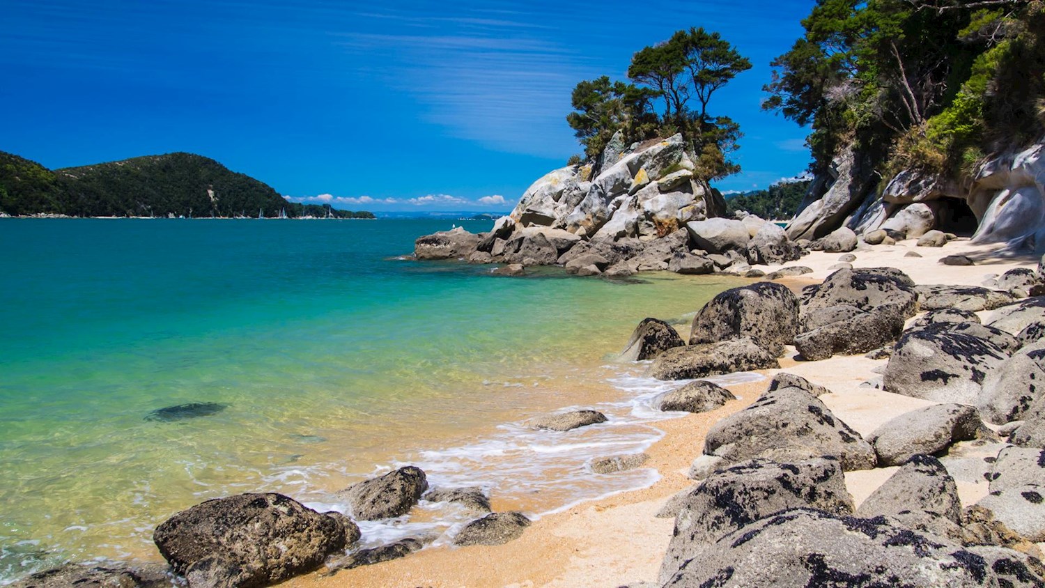 Small and perfectly formed: welcome to Abel Tasman National Park