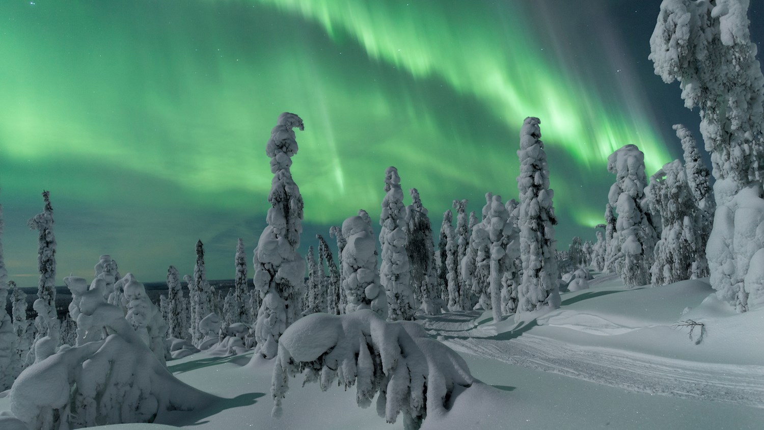 Go walking in a real-life winter wonderland in Finnish Lapland