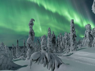 Go walking in a real-life winter wonderland in Finnish Lapland