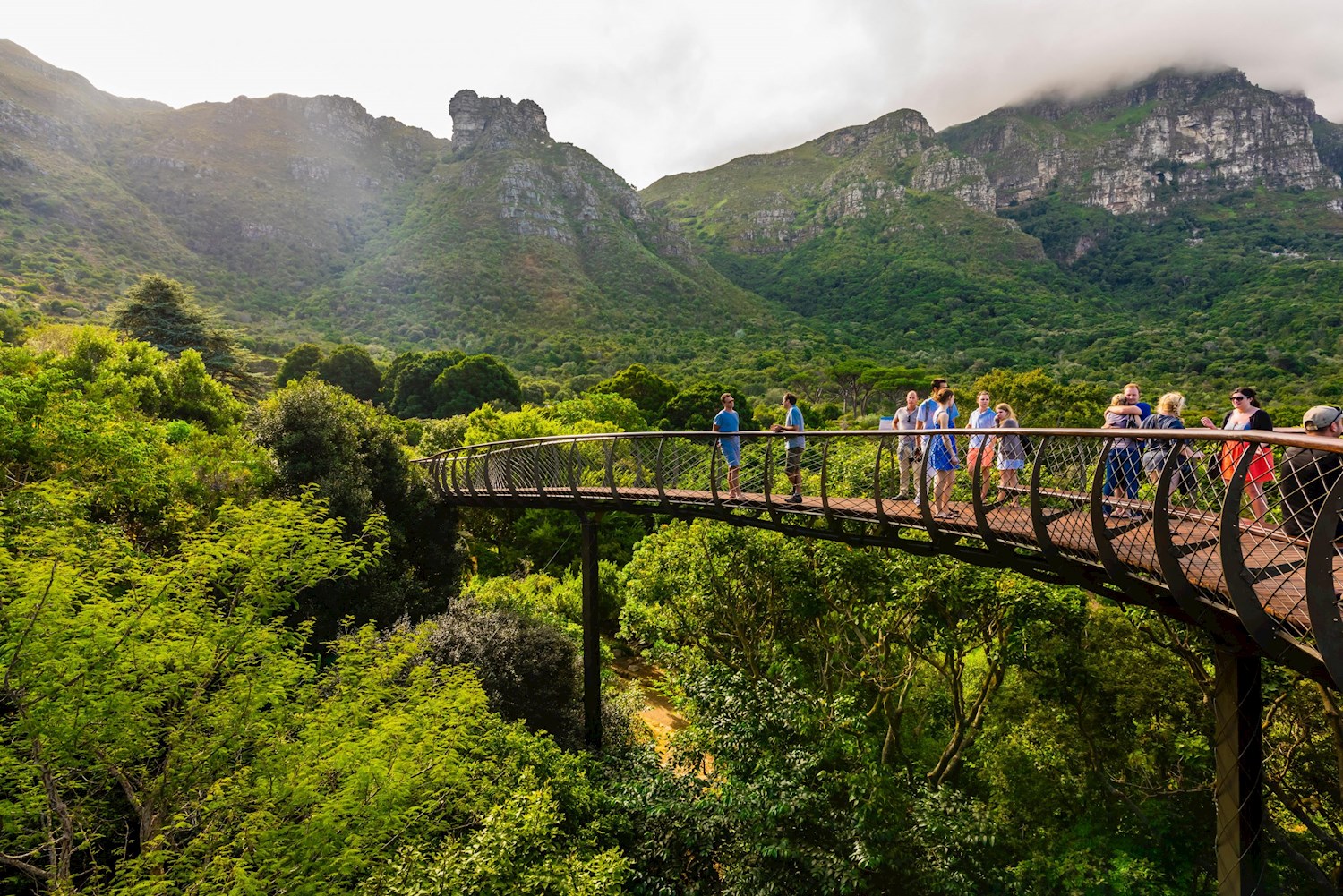 Inhale the perfume of a thousand scents in  Kirstenbosch National Botanical Garden