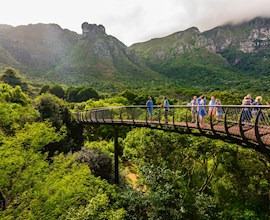 Inhale the perfume of a thousand scents in  Kirstenbosch National Botanical Garden