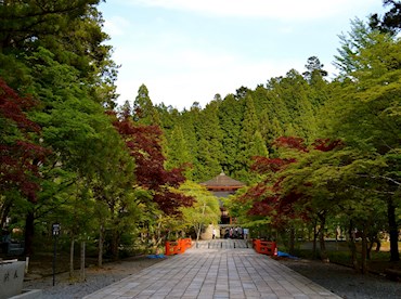 Get a taste of monastic life atop peaceful Koya-san