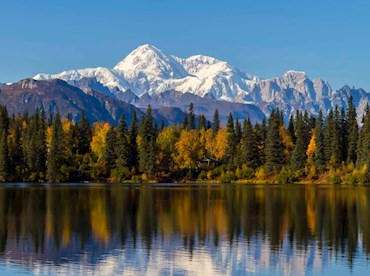 Emulate an elk on the soaring heights of Denali