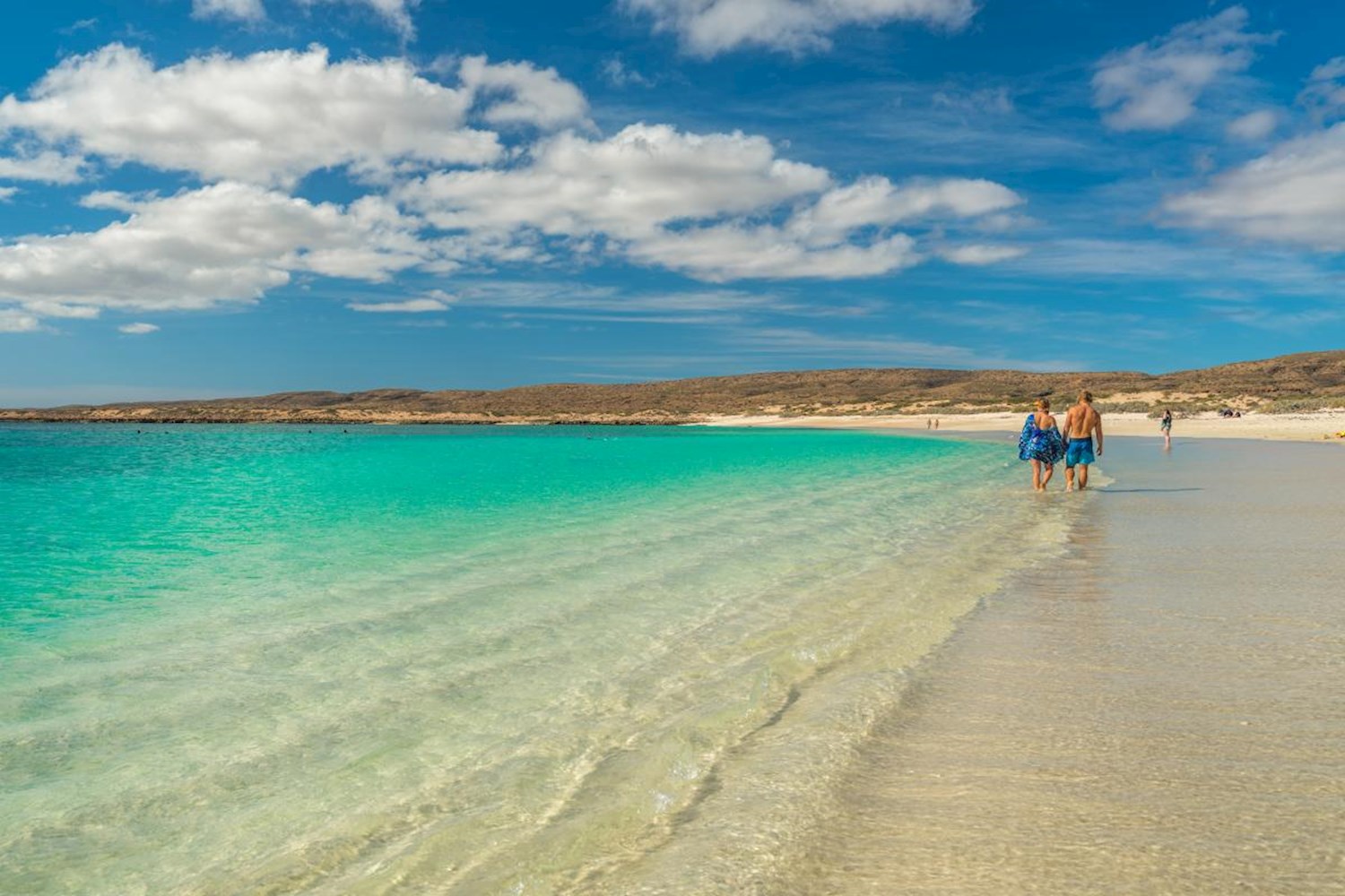 Swim with the fishes and more at Ningaloo Marine Park