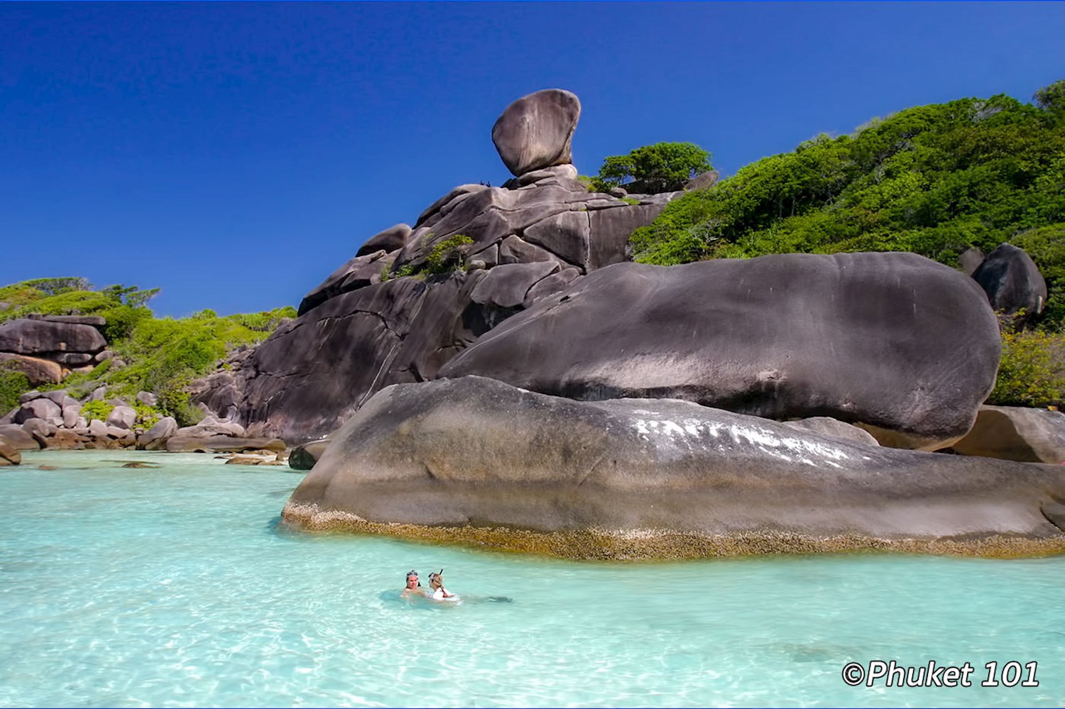 Scuba dive into Mu Koh Similan's softcoral paradise