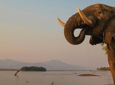 Have an unguided adventure at Mana Pools National Park