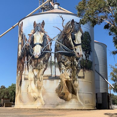 Road trip along the Silo Art Trail