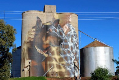 Road trip along the Silo Art Trail