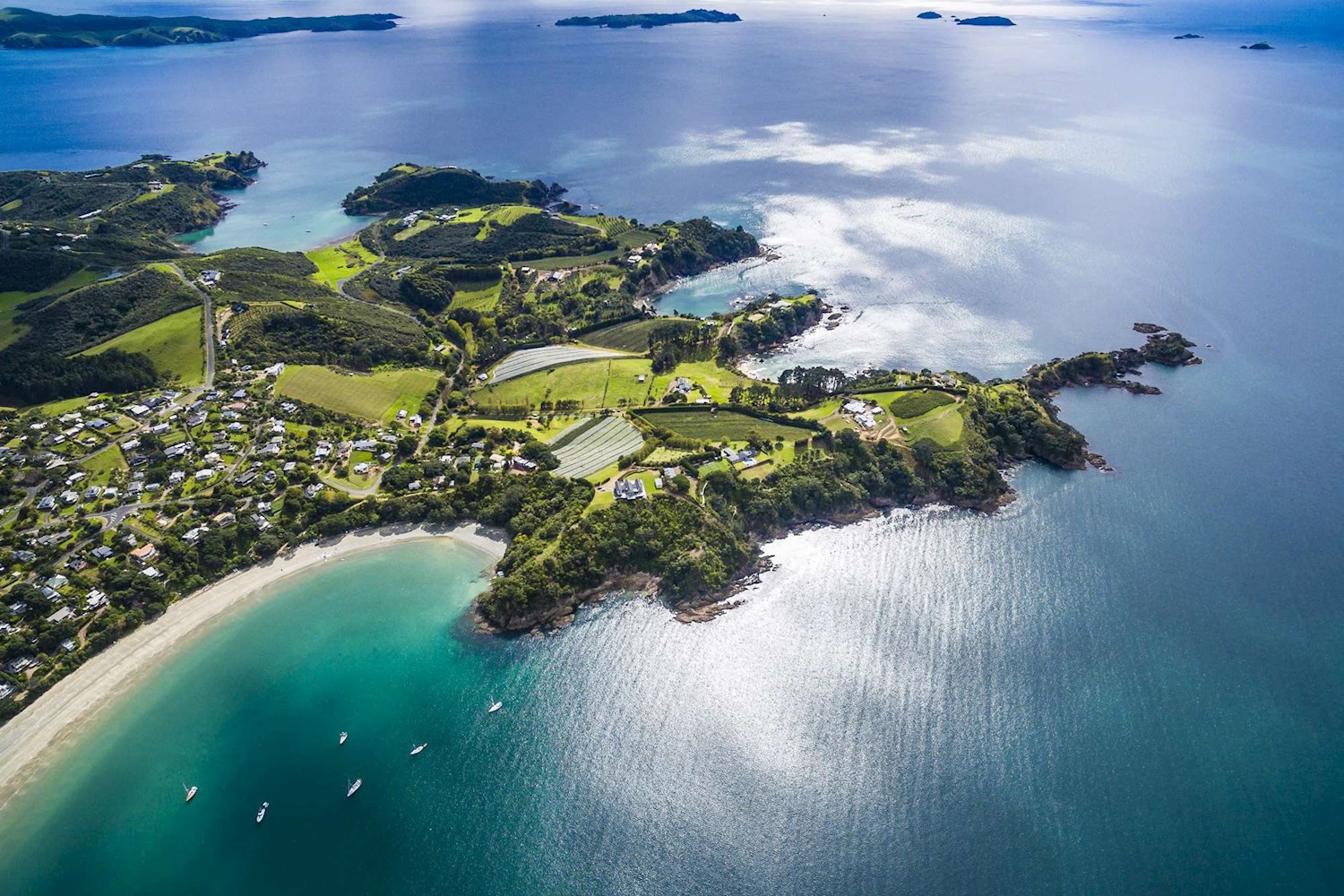 Indulge in the good life on Waiheke Island