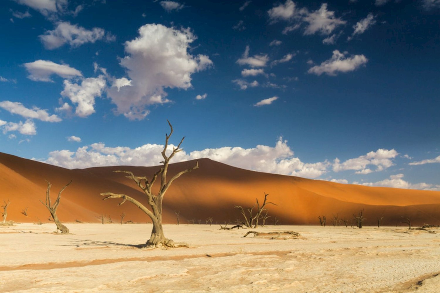 Be beguiled by the hues and stark forms of Namibia's parched Sossusvlei