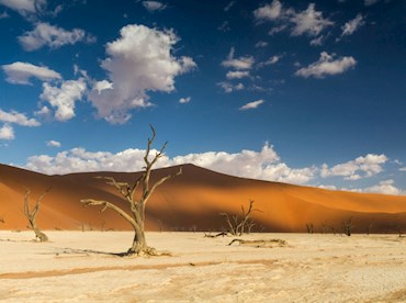 Be beguiled by the hues and stark forms of Namibia's parched Sossusvlei