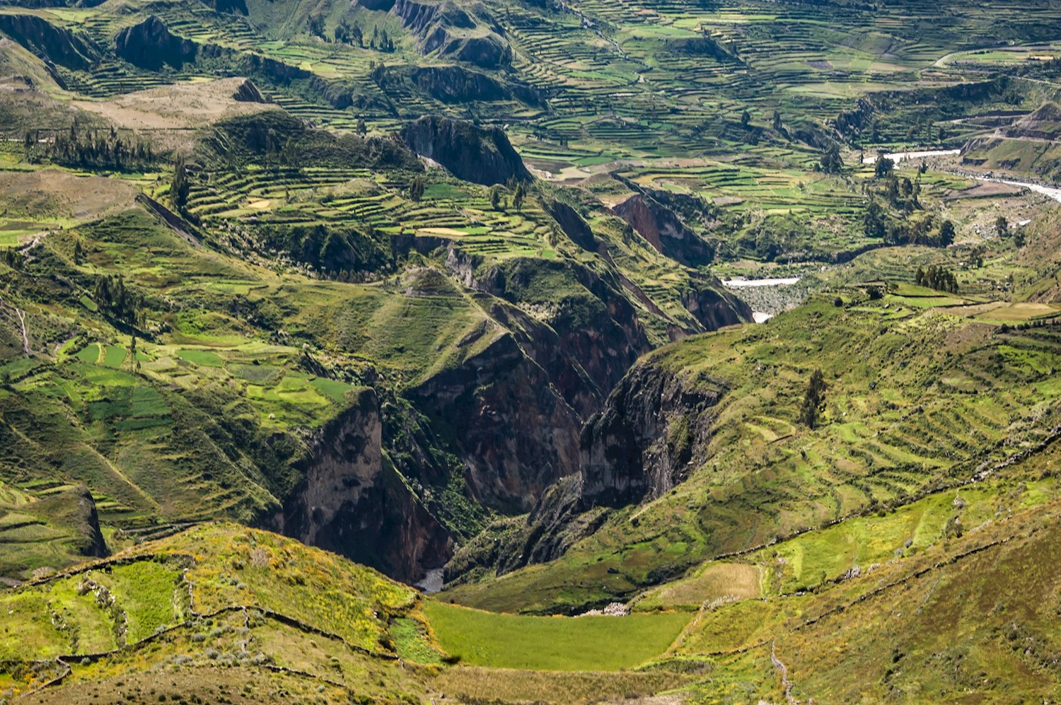 Be floored by the depths of the Cañón del Colca