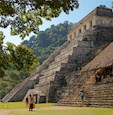 See ruins reclaimed by nature in jungle- shrouded Palenque