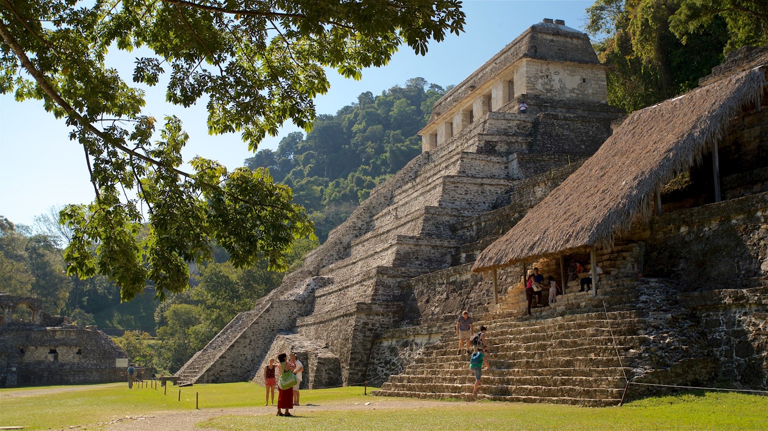 See ruins reclaimed by nature in jungle- shrouded Palenque