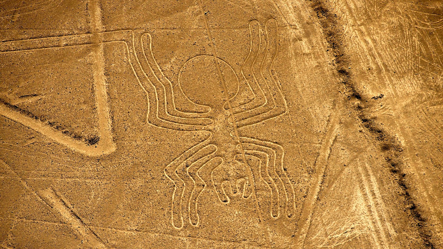 Soar over the mesmeric desert mystery of the Nazca Lines