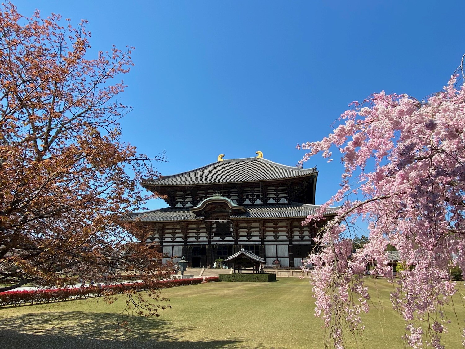 Seek enlightenment at the Daibutsu (Great Buddha) of Nara